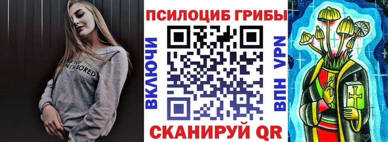 Псилоцибиновые грибы Cubensis  Купить  Кодинск 